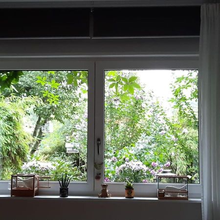Ferienwohnung Hering In Dill Экстерьер фото