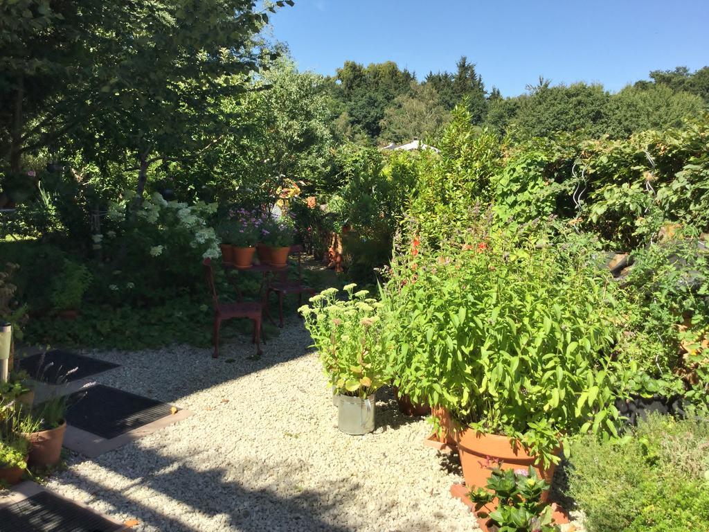 Ferienwohnung Hering In Dill Экстерьер фото