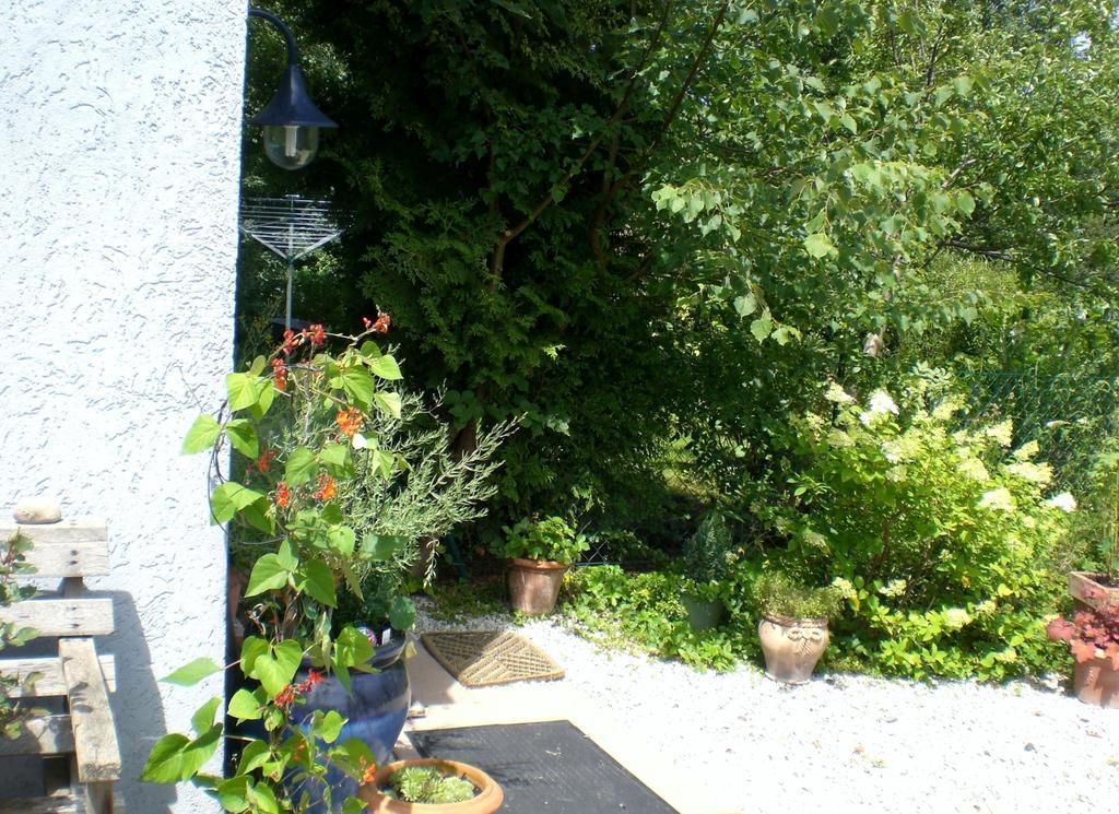 Ferienwohnung Hering In Dill Номер фото